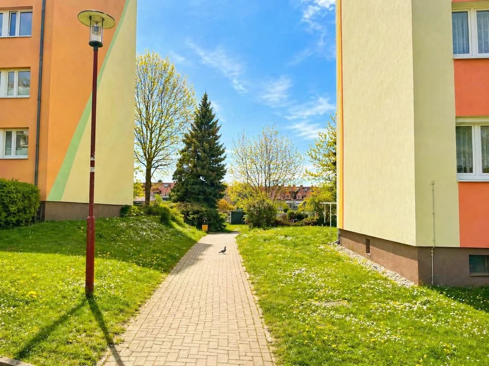 Kitzscher 3Z in Kitzscher